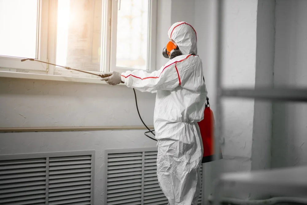 Professional mold remediation services in Bradley Beach, NJ